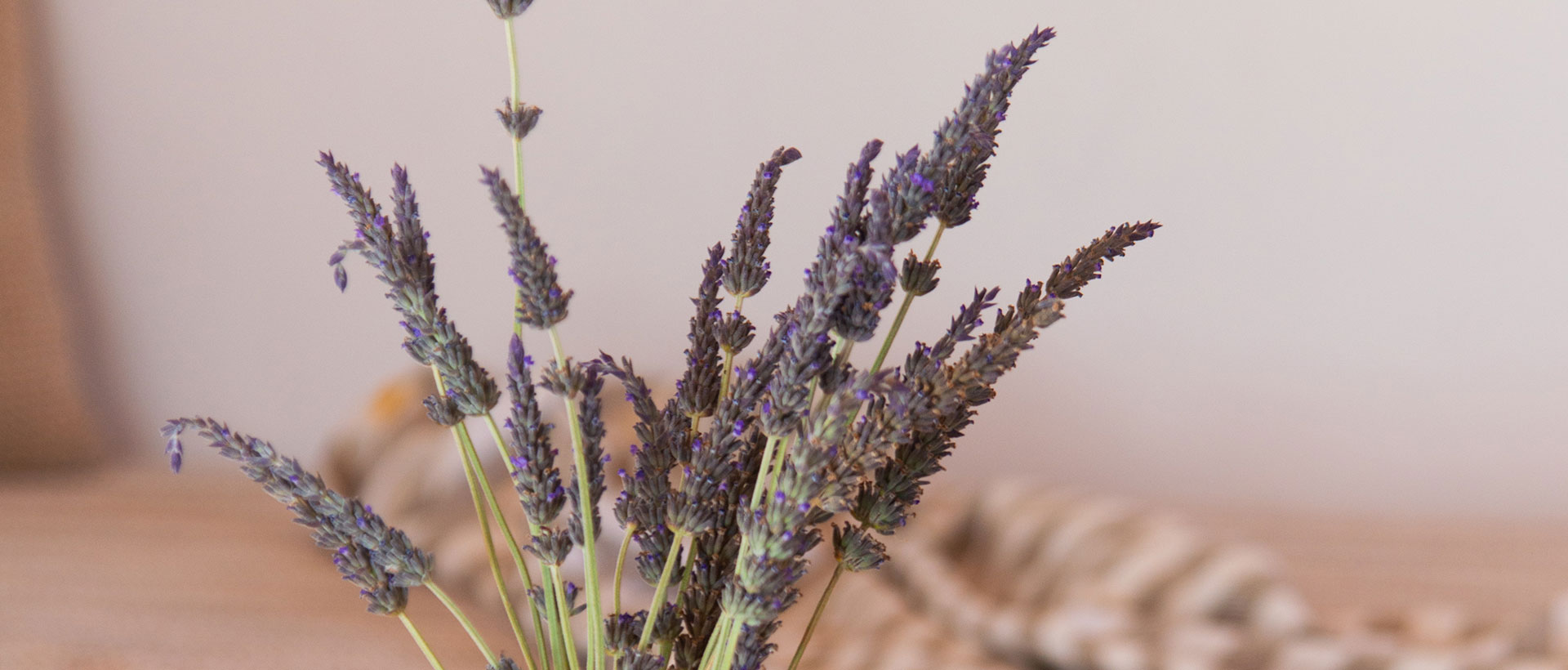Λεπτομέρεια διακόσμησης με λεβάντα στο Artemaki House στη Σίφνο